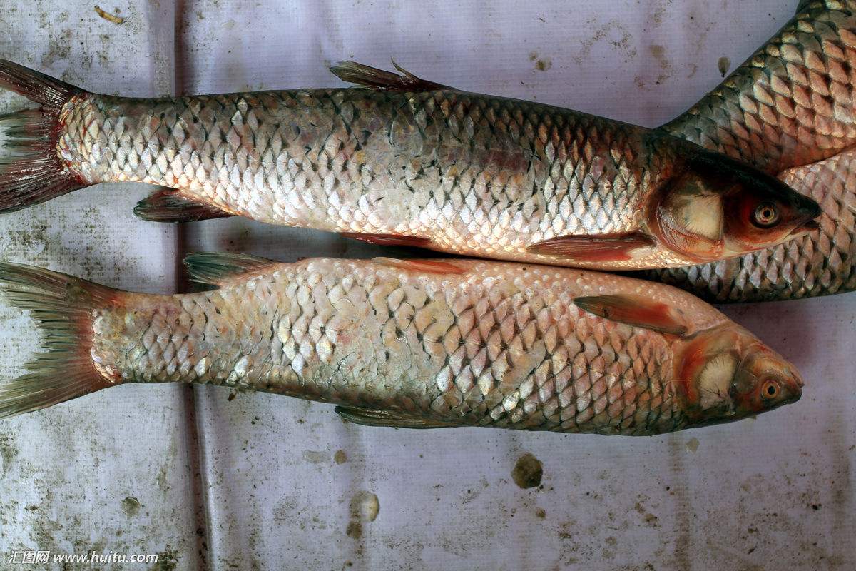 腊鱼太咸怎么做好吃,腊肉腊鱼太咸怎么办