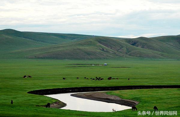 藏族风俗习惯,蒙古族风俗习惯食物