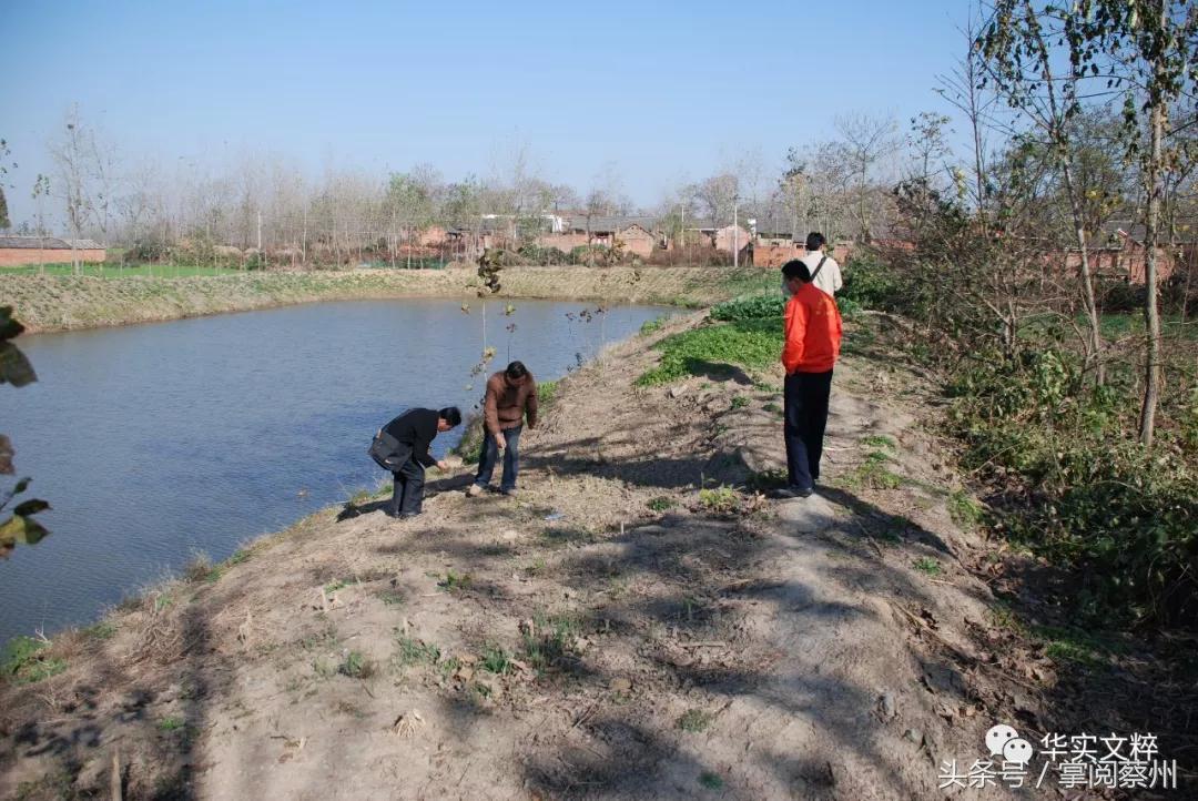 叶公好龙叶公到底喜不喜欢龙呢,叶公好龙中叶公是个什么样的人