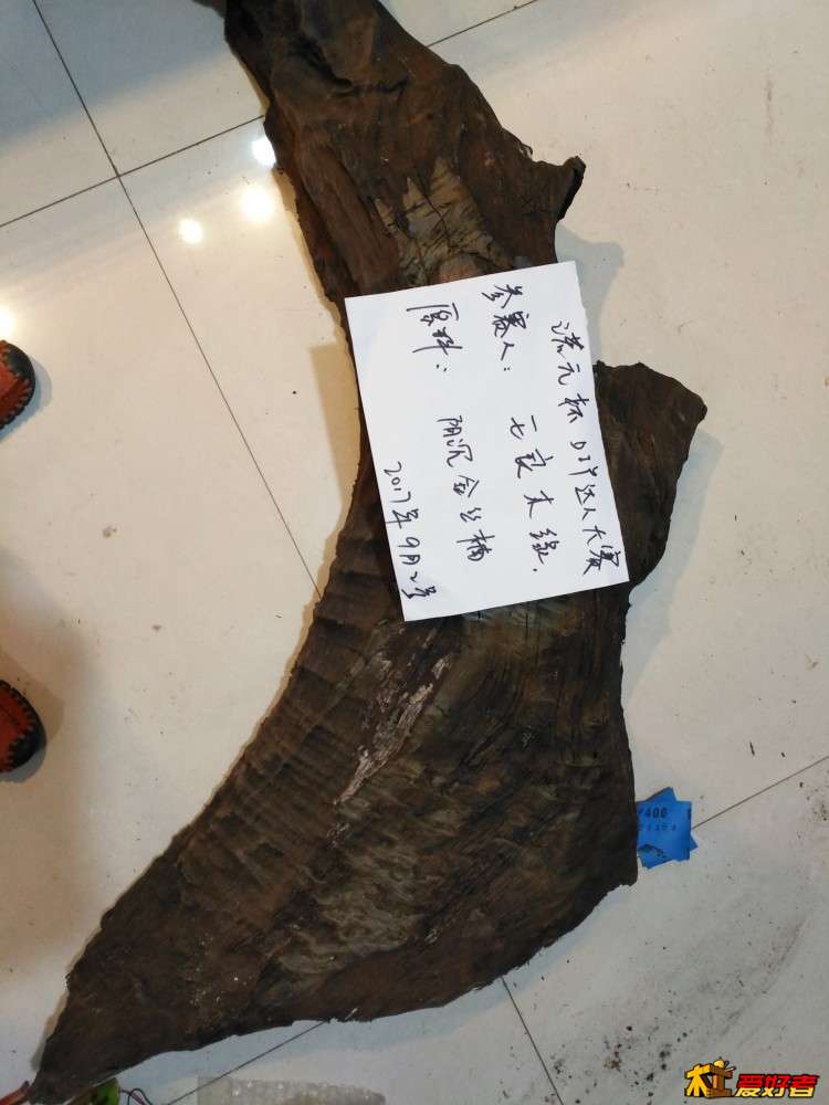 遵义金丝楠阴沉木茶台主人椅,金丝楠阴沉木自然造型茶台