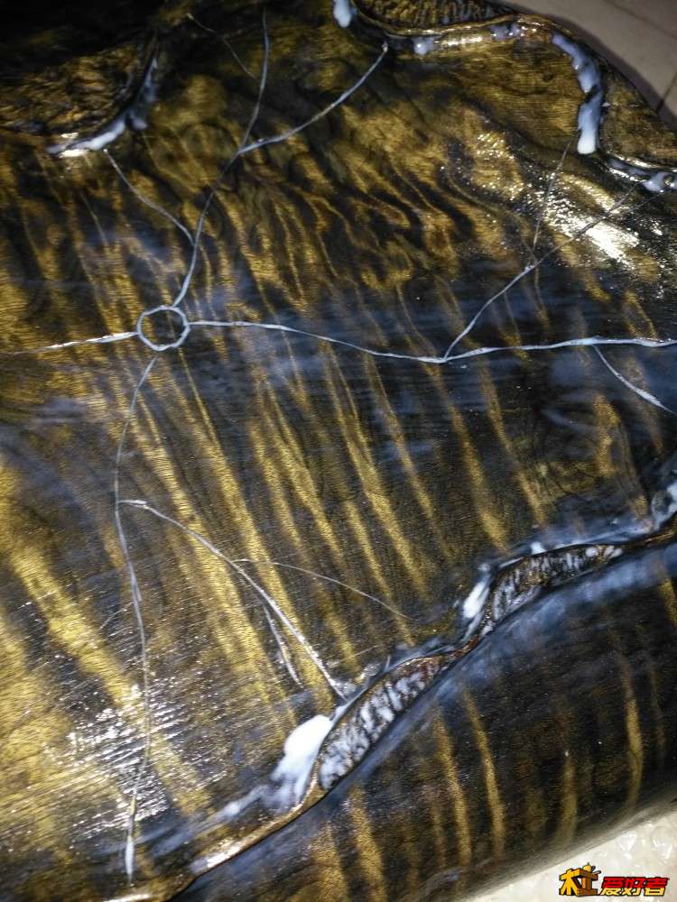 遵义金丝楠阴沉木茶台主人椅,金丝楠阴沉木自然造型茶台