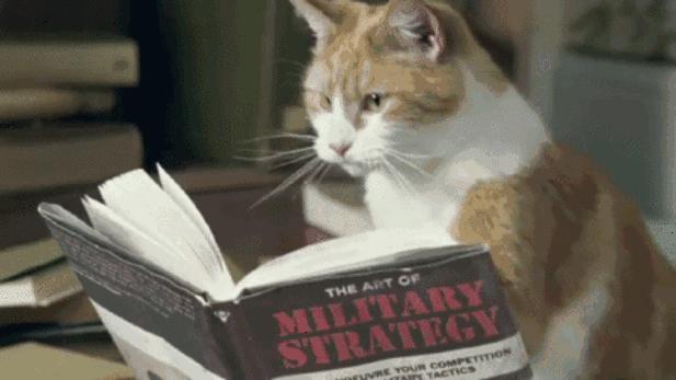 女人必须要有的十款包包,女人最值得买的10款包包