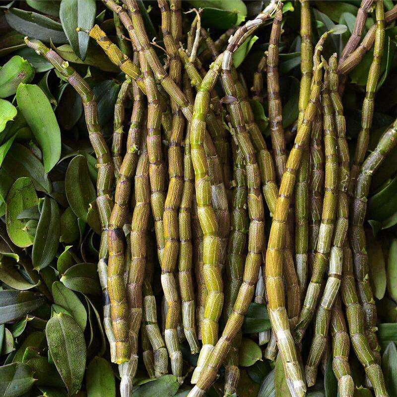 铁皮石斛泡水喝的功效作用,铁皮石斛酿酒的功效