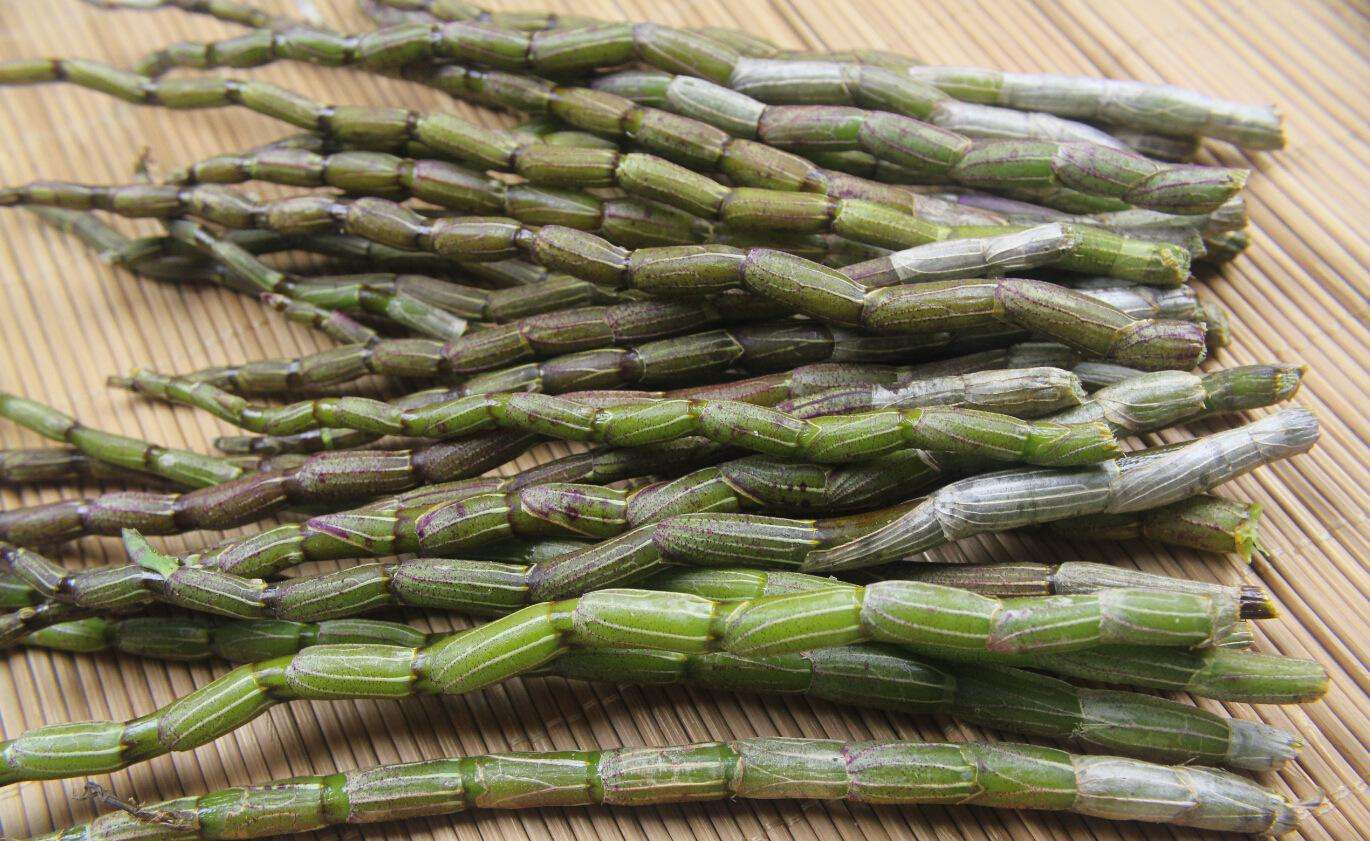 铁皮石斛泡水喝的功效作用,铁皮石斛酿酒的功效