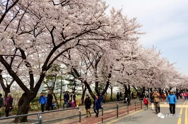 吓尿！日本化妆品祭“限购”大招！——便宜机票惹的祸