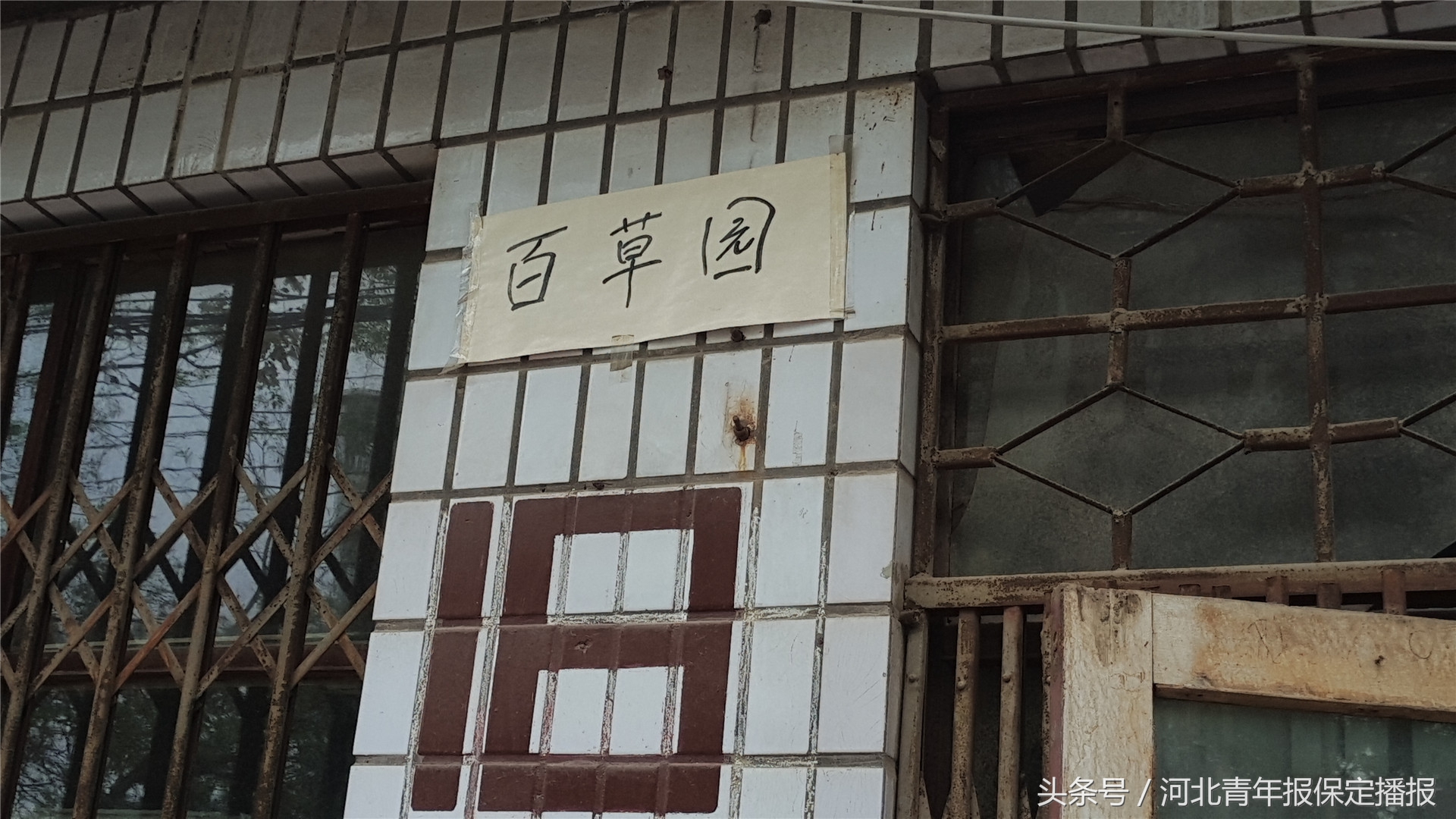 保定市书店现状,保定独立书店