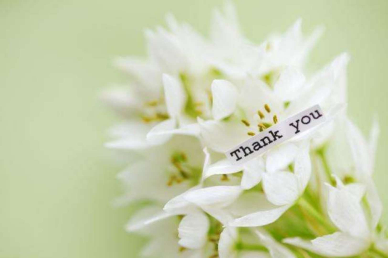 如何处理好大学寝室人际关系,大学宿舍尴尬的同学关系