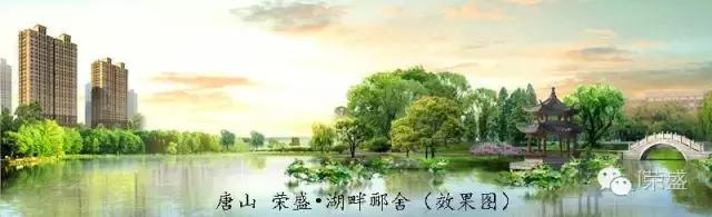 荣盛发展楼市,荣盛有哪些楼盘值得购买