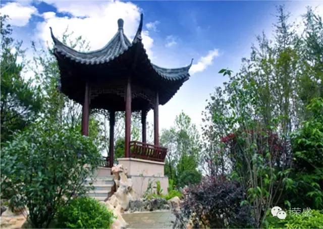 荣盛发展楼市,荣盛有哪些楼盘值得购买