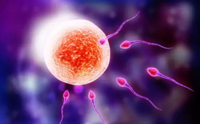 受精卵着床是什么样的感觉你知道吗?