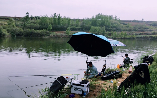 小鲫鱼多怎样才能钓到大鲫鱼,冬天下雨野河钓鲫鱼怎么钓渔获多
