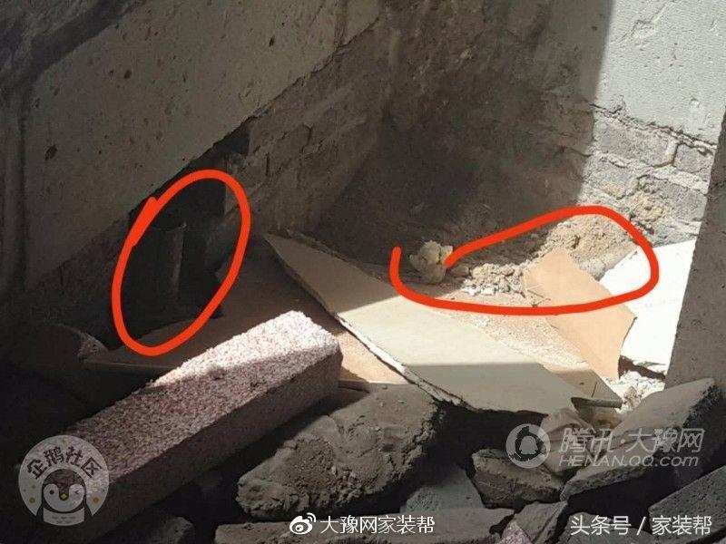 99平“紫荆”成长曲，11万打造“吾有小家初装成”——①