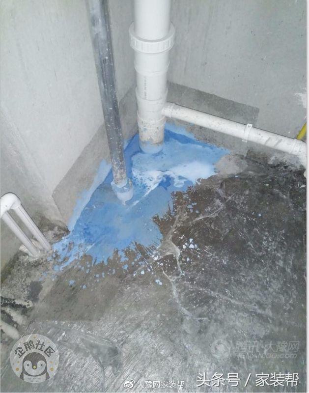 99平“紫荆”成长曲，11万打造“吾有小家初装成”——①