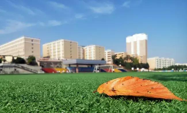 江宁小学学区划分找哪个部门确认,江宁好的学区房最新划分