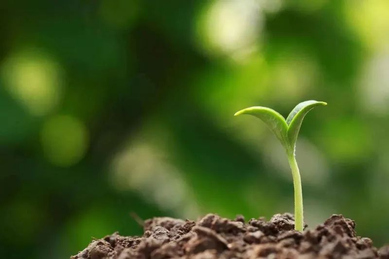 6年流产5次……反复流产元凶何在？