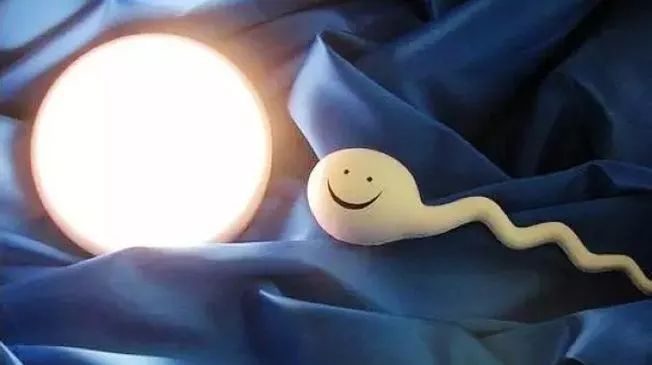 6年流产5次……反复流产元凶何在？