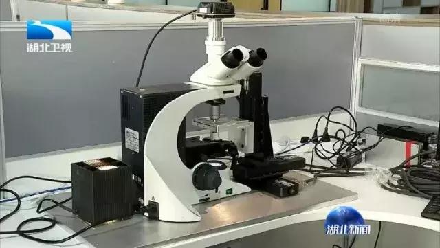 光谷集团创新发展,湖北光谷创新示范企业