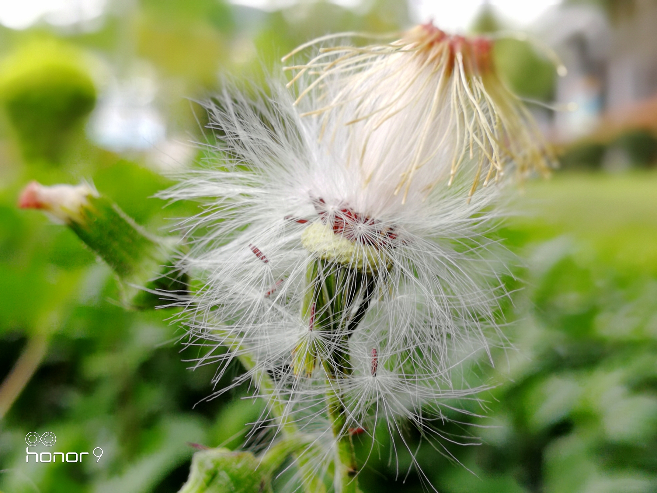 3倍和5倍光学变焦哪个更实用,2倍光学变焦用处大不大