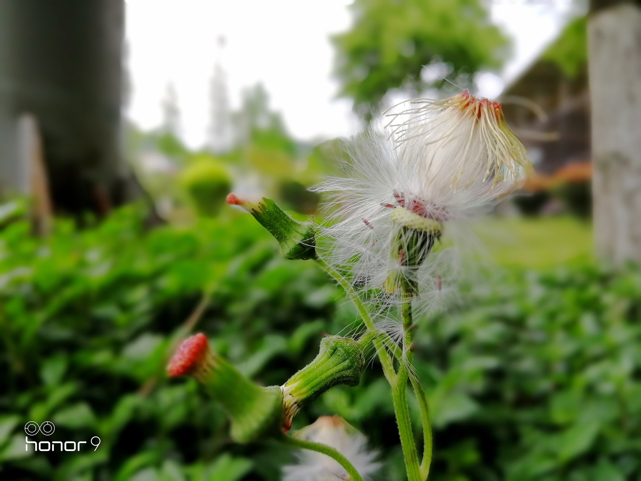 3倍和5倍光学变焦哪个更实用,2倍光学变焦用处大不大