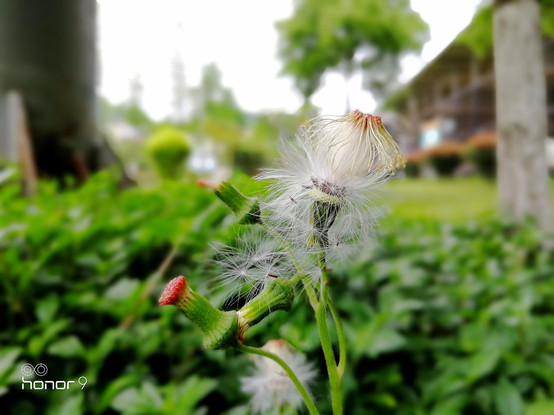 3倍和5倍光学变焦哪个更实用,2倍光学变焦用处大不大