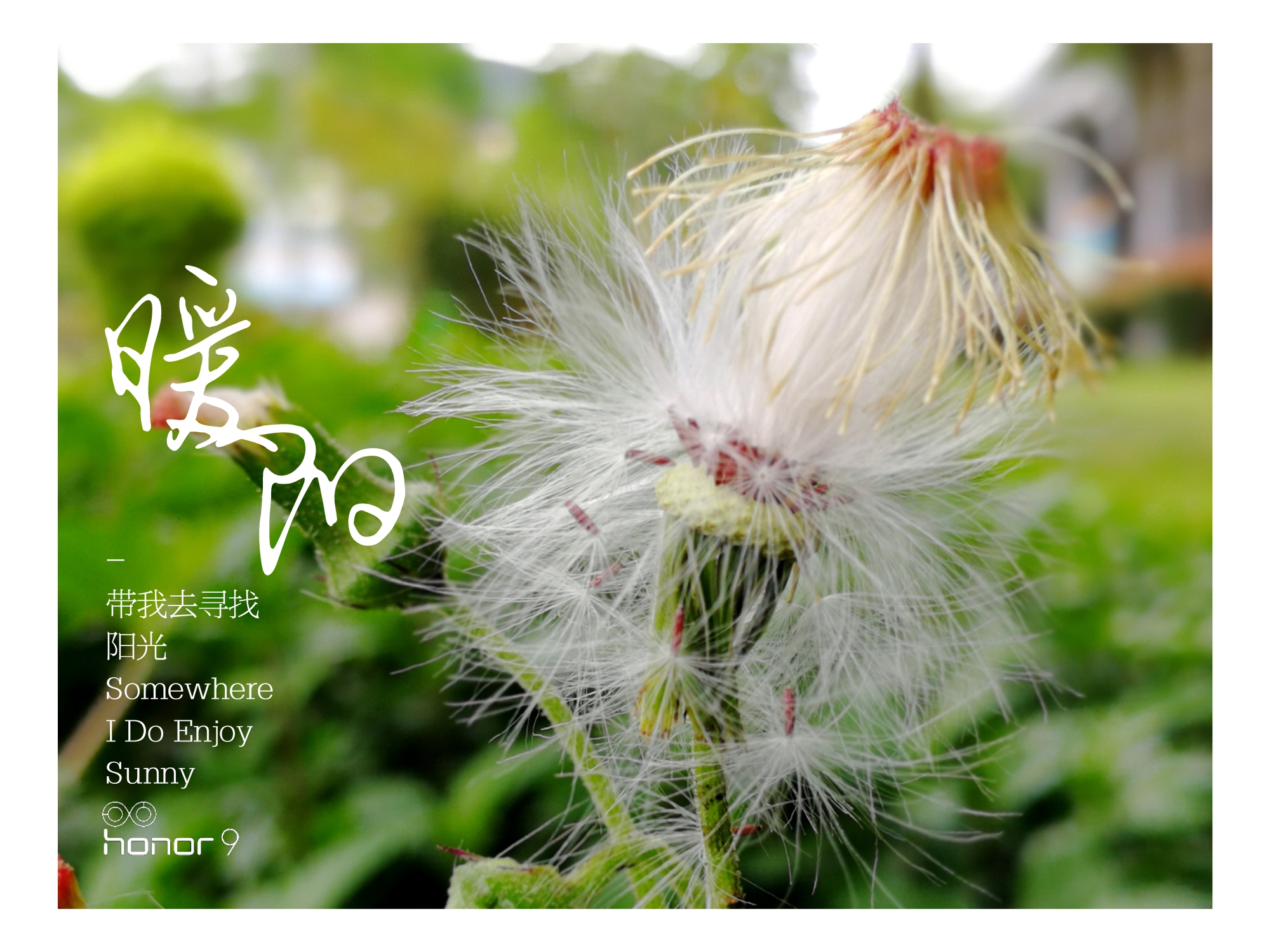 3倍和5倍光学变焦哪个更实用,2倍光学变焦用处大不大