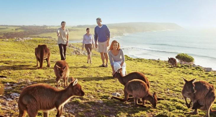 各个国家出入境能带现金,各国出入境携带现金规定去哪查