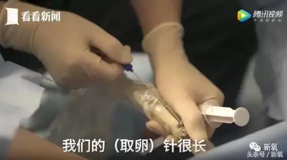 骗女生上床还买卖女生卵子,这些卖卵中介去死吧!