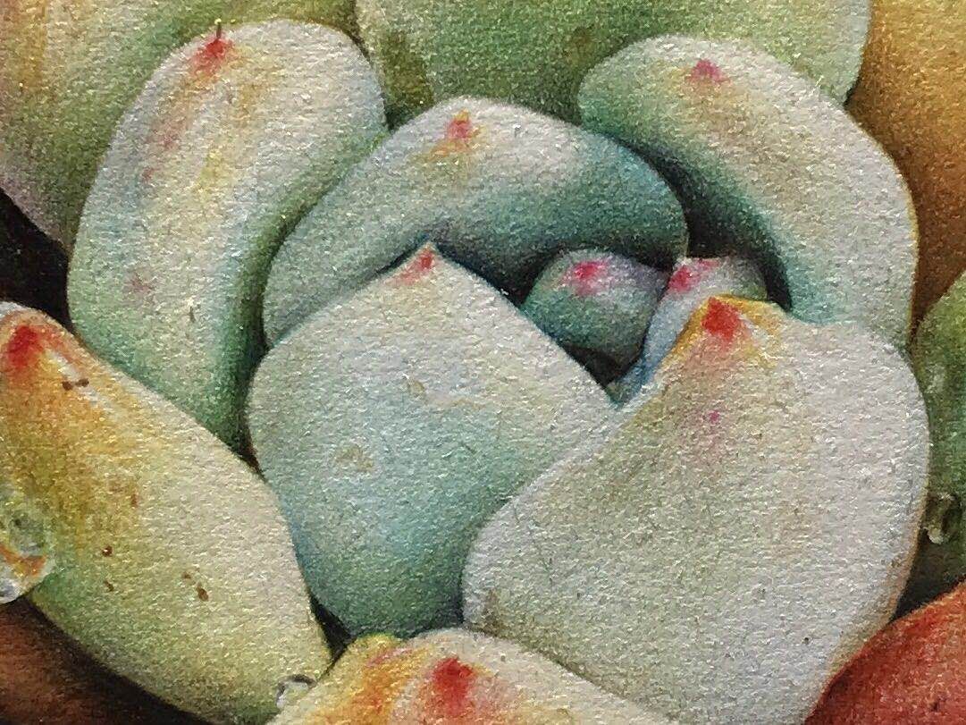 幸福原创画作品,幸福画吧画友作品欣赏