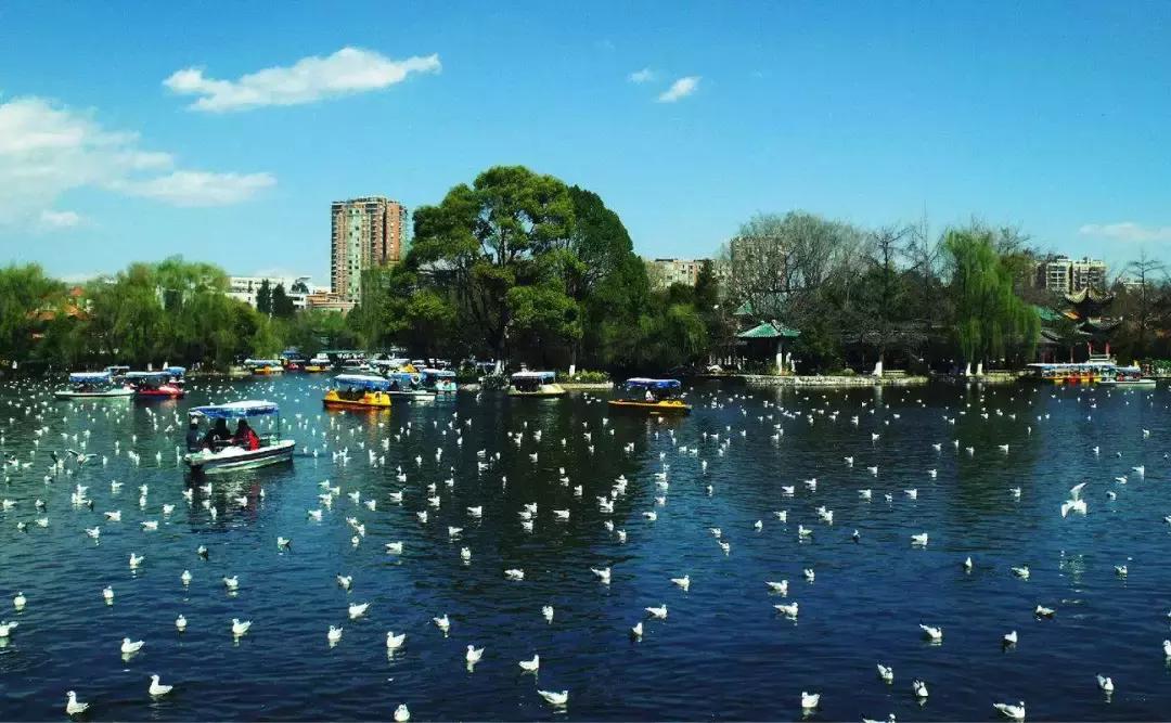 三天小长假去苏州旅游,苏州小长假游