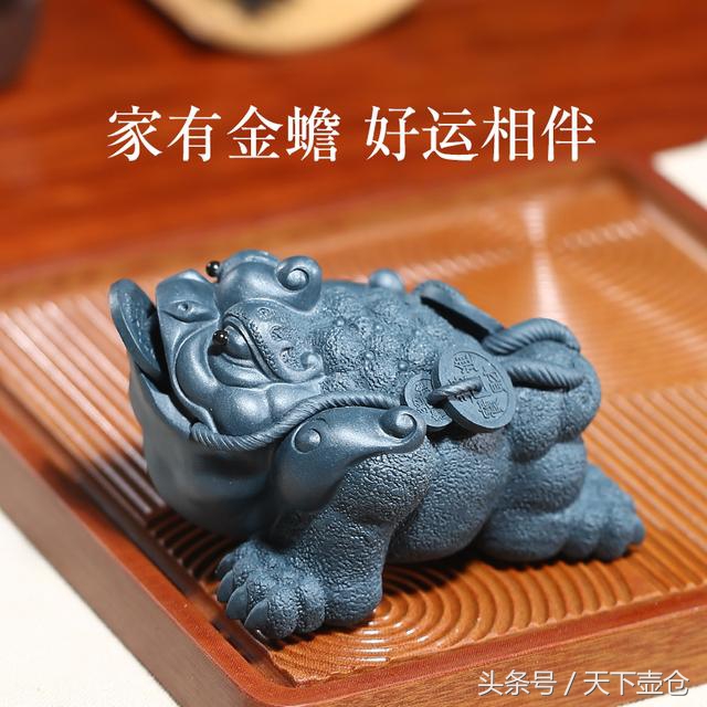 用茶养的茶宠,茶宠用什么茶养