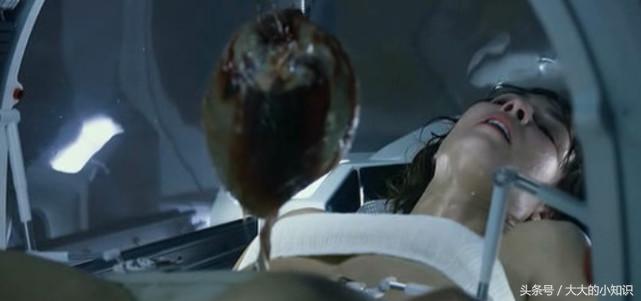 为什么美国航空航天局要把大量的精子送入轨道?看完后实在是佩服