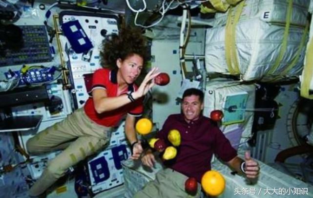 为什么美国航空航天局要把大量的精子送入轨道?看完后实在是佩服