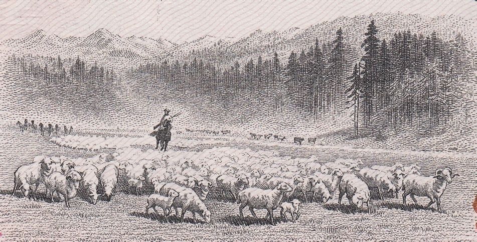 纸钞之美：雕版印刷与精美纸币（多图）