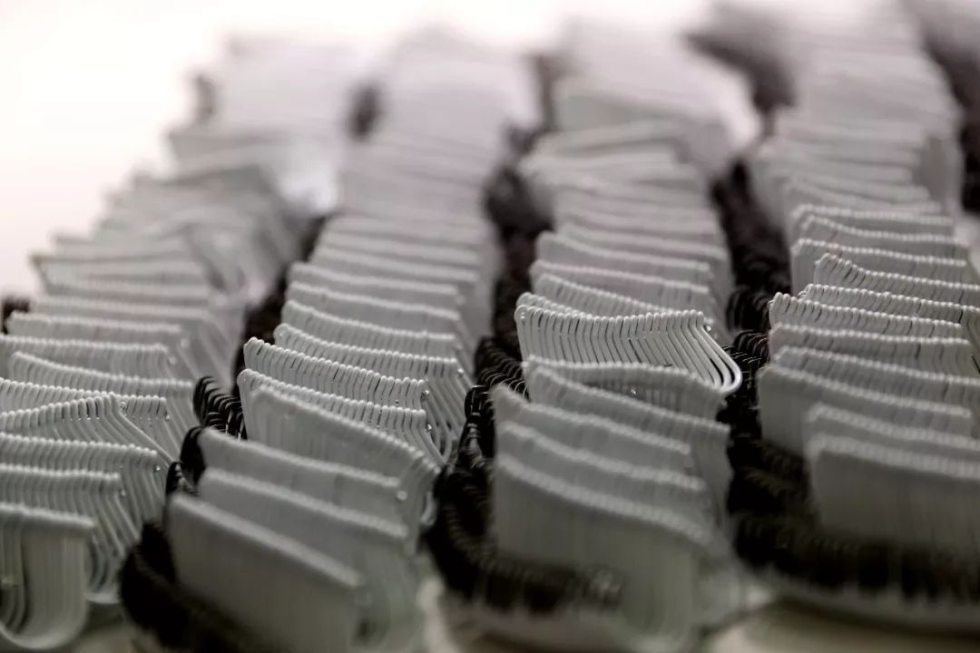 《中国钓鱼》杂志一行二人走进黑金刚