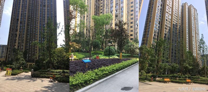 买完房子装修后后悔了,装修房子后你的真实感受