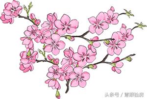 买完房子装修后后悔了,装修房子后你的真实感受