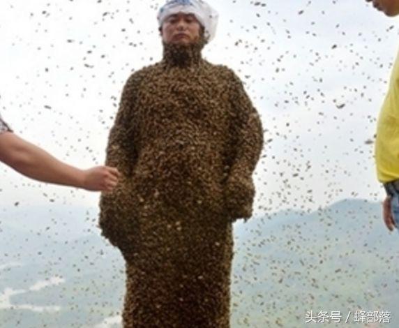 蜜蜂蜇人蜜蜂为什么会死,蜜蜂蜇人会死为什么还要蜇人