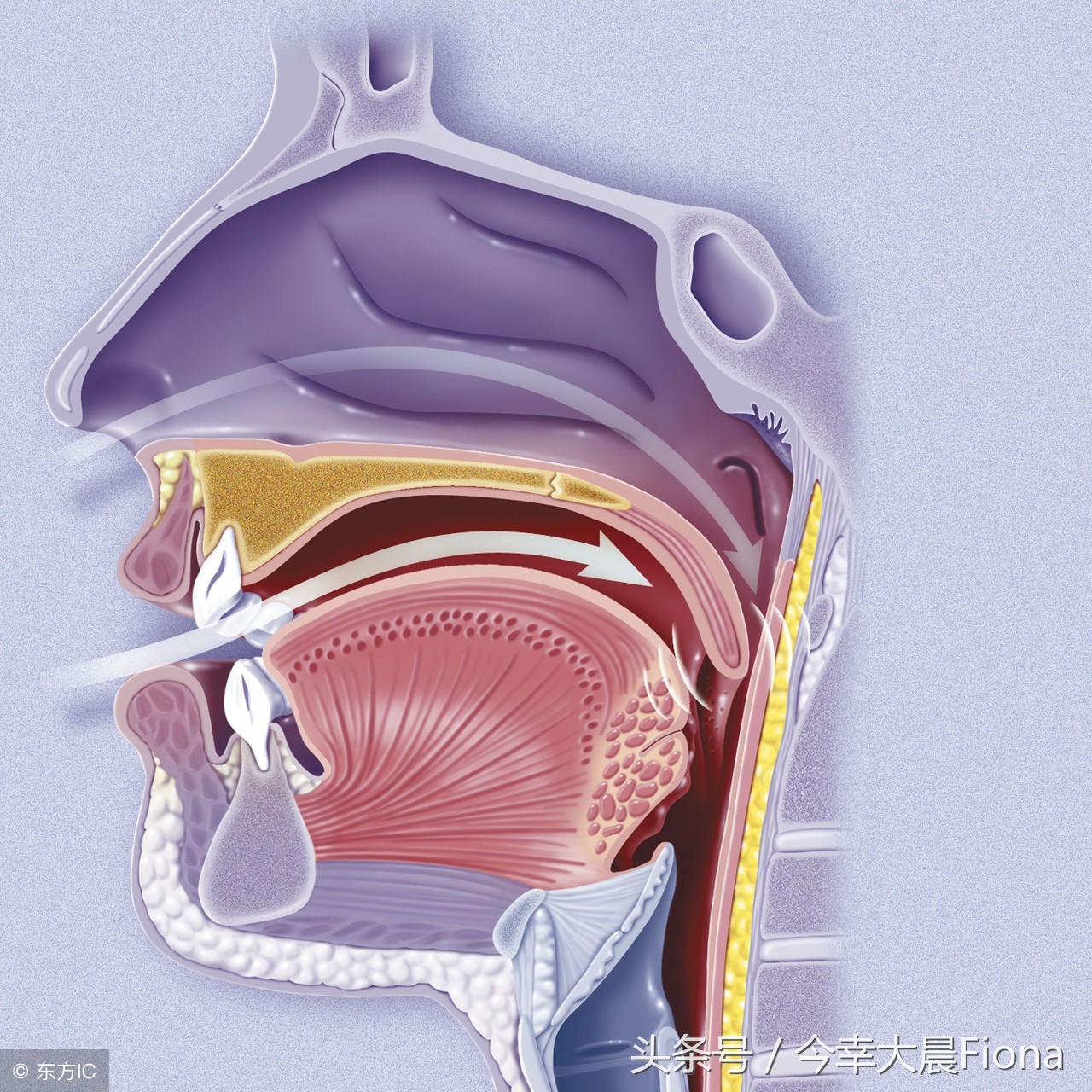 大学生打呼噜被舍友打,女学生打呼噜被人打