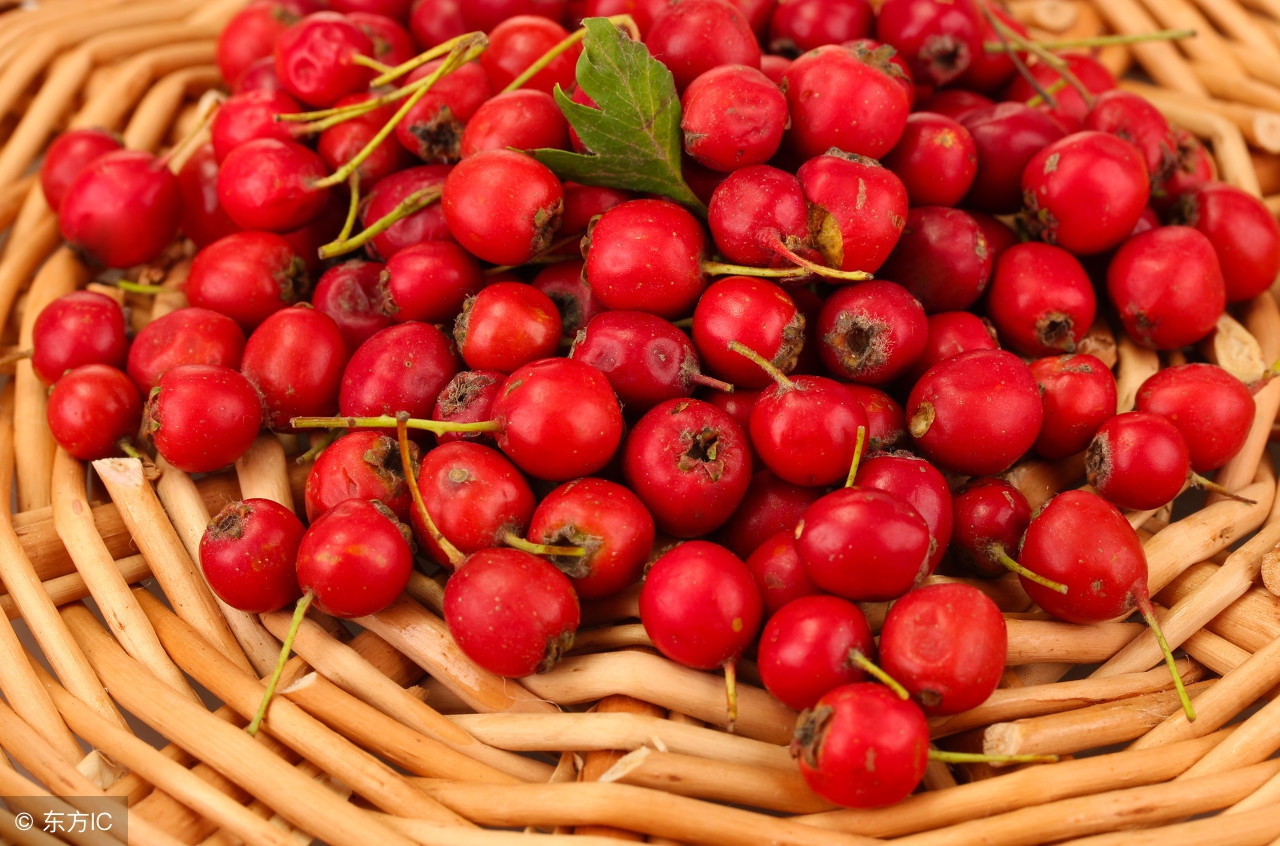 健胃消食的茶有哪几种,什么茶健胃消食增加肠蠕动