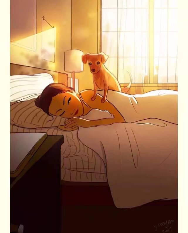 女人与狗的情感生活，看了以后我也想养一只