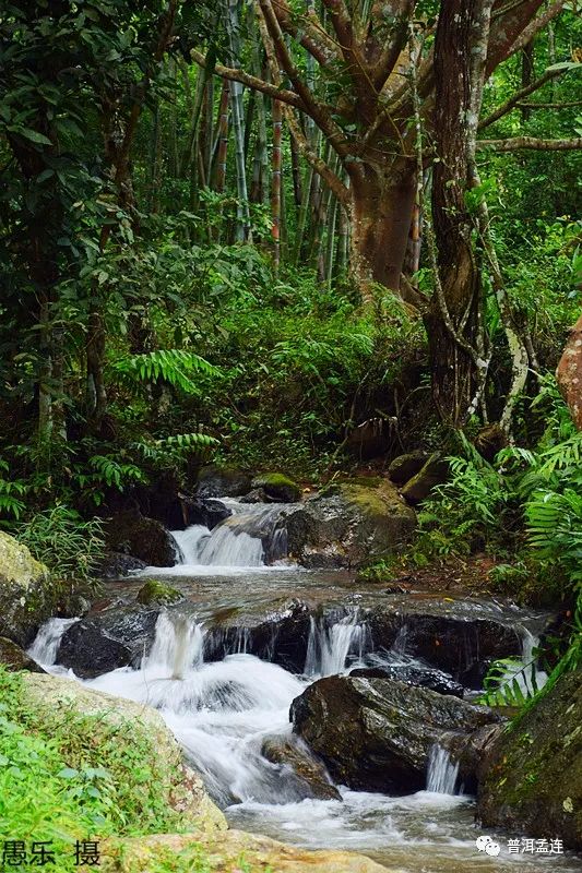 孟连扶贫,孟连县扶贫建设