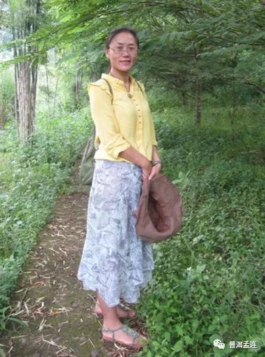 孟连扶贫,孟连县扶贫建设