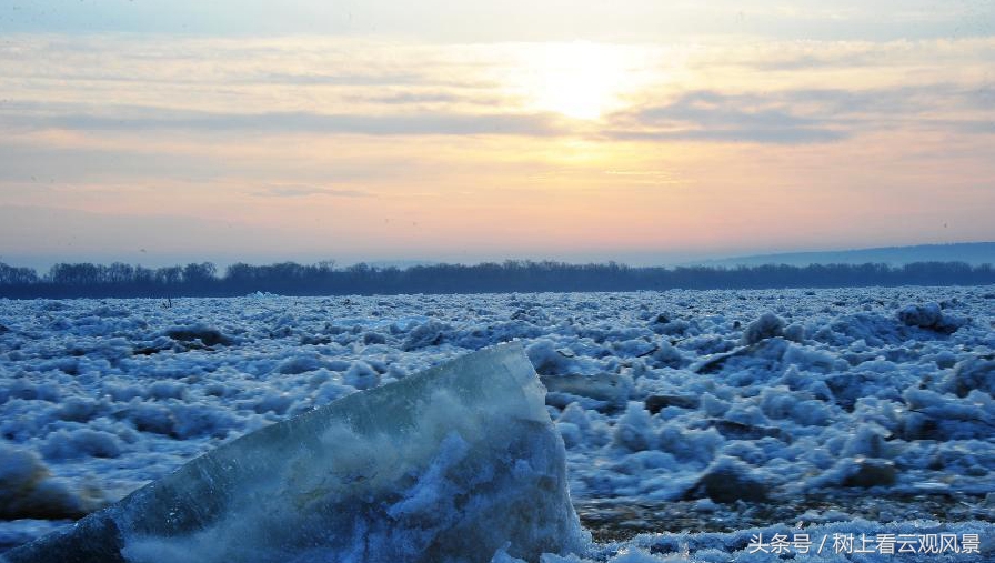 黑龙江秃尾巴老李老家,秃尾巴老李在黑龙江吗