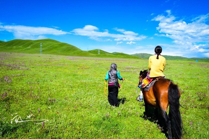 四川旅游攻略最值得去的地方,四川六日游必去的地方