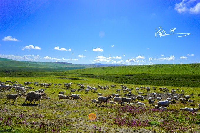四川旅游攻略最值得去的地方,四川六日游必去的地方