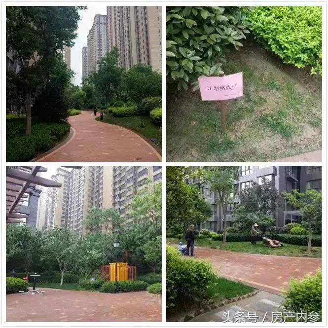 金辉物业全国排行,金辉物业属于啥档次