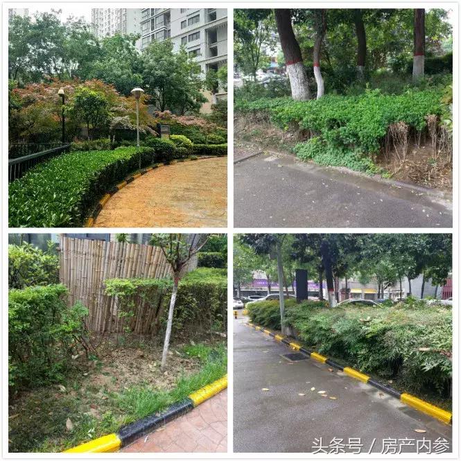 金辉物业全国排行,金辉物业属于啥档次