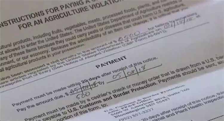 带个苹果下飞机，竟被罚500美元！这样的坑，很多人还不知道