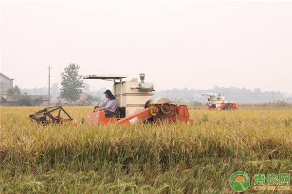合作社惠农补贴申报,农业合作社补贴申请范文