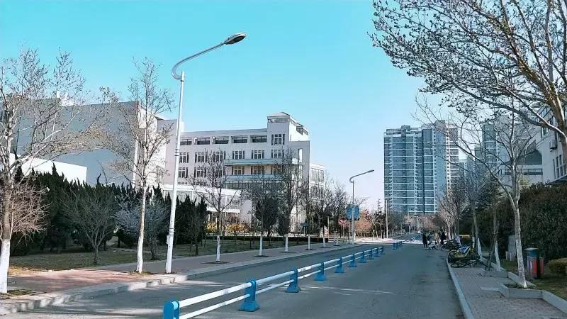 陪你走过沿途的风景,陪你走过每段路